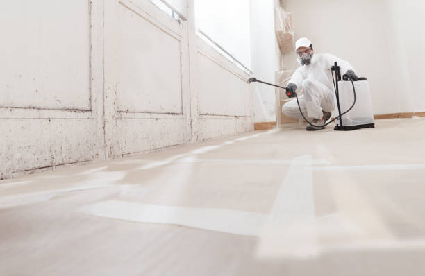 24/7 Emergency Commercial Mold Remediation experts in Lake Bluff, IL